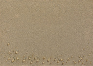 [서울옥션 정태희 경매사의 작가 탐색] 영원한 물방울, 김창열