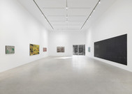 국제갤러리, 다니엘 보이드 개인전 ‘피네간의 경야’… “주류 서사의 허구적 신화, 호주 원주민의 문제 의식”