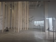 국립현대미술관 ‘소멸의 시학: 삭는 미술에 대하여’... “불후의 명작 아닌, 자신의 분해를 드러내는 작품들”