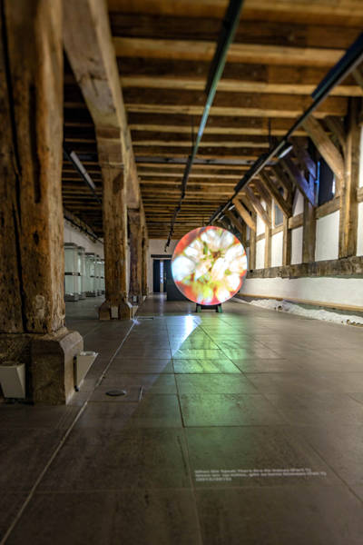 김태리, '웬 위 스피크 대어 어 노 보이스(When We Speak There Are No Voice)'. 설치, 2012~2015.