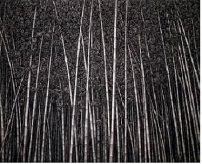 이재삼, '저기 너머에(Beyond There)'. 캔버스에 목탄, 291 x 364cm. 2006.