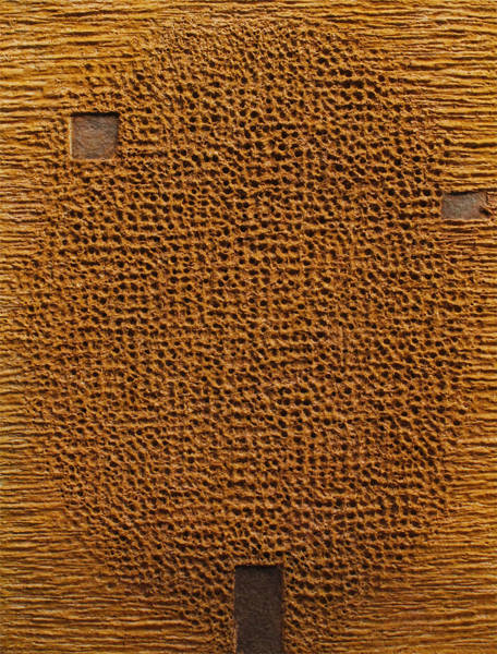 이창수, '라이프 - 네이쳐(Life - Nature)'. 한지, 천연염료, 41 x 53cm. 2016.