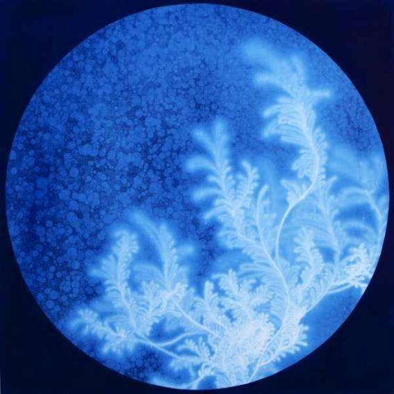 송창애, '워터스케이프 - 그래스(Waterscape - Grass) 1409'. 75 x 75cm. 2014.