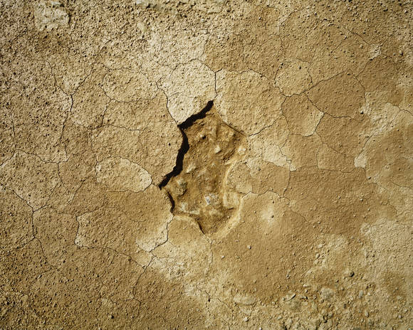 박형렬, 'Figure Project_Earth #49'. 피그먼트 프린트, 56 x 70cm. 2015. (사진 = 갤러리 룩스)