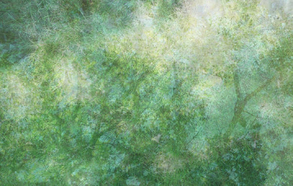 다나, '손흔드는 햇빛' 10 에디션. 디지털 프린트, 126 x 80cm. 2016.