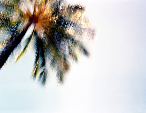 이익재, '이터널 이모션즈(Eternal Emotions) 06'. 아카이벌 피그먼트 프린트, 76.2 x 60.96 cm. 2015.