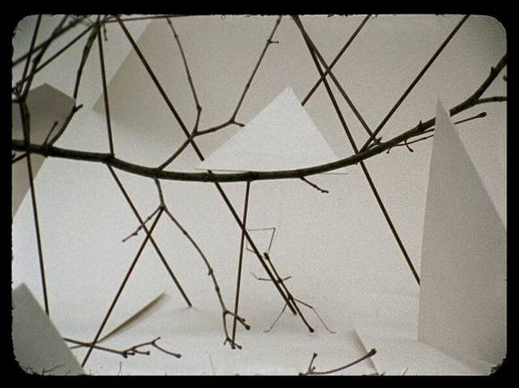 다니엘 스티그만 만그라네, '대벌레'. 16mm 영상, 22분 41초. 2012. ⓒ the artist