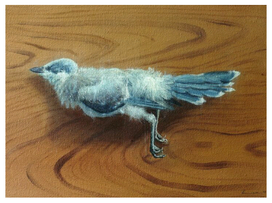 이가영, '죽은 새'. 캔버스에 유채, 40 x 50.5cm. 2016. (사진 = 인디프레스)