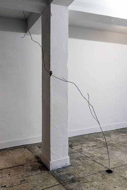 정진욱, ‘일반적’. 못, 철판, 가변크기. 2015. (사진 = 정진욱)