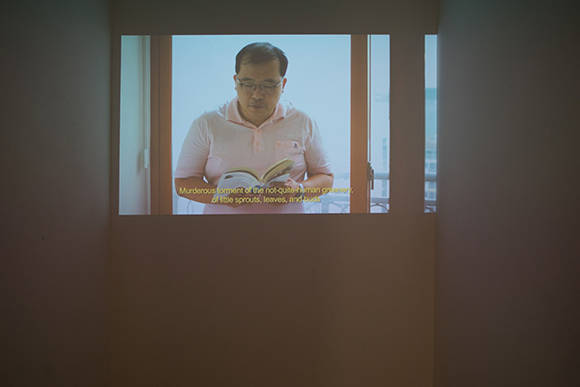 지민희, '고통의 위계(설치 이미지)'. 영상 설치, 소리. 2016. (사진 = 코너아트스페이스)