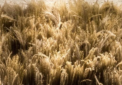 2015년 작업 '숨바꼭질'의 부분 이미지. (사진=최세윤)