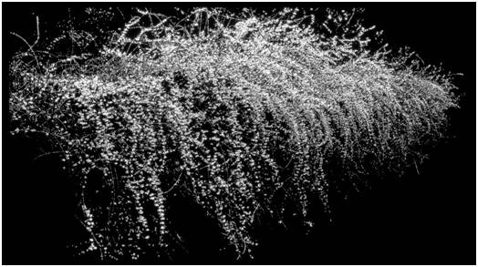 최수환, 'Emptiness_forsythia(엠티네스_ 개나리)'. 124 x 222 x 10cm, LED Laminate. 2016.