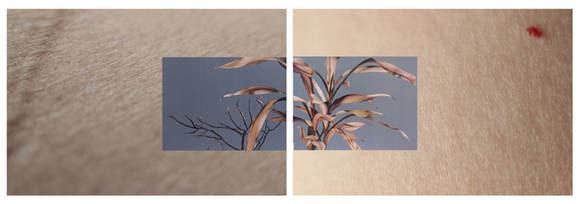 이들닙, '섬세한 편린'. 61 × 91cm, 피그먼트프린트, 콜라주. 2016. (사진 = 신한갤러리 역삼)