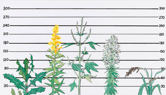 김제민, '유주얼 서스펙트(Usual Suspects)'. 43 x 75.6cm, 종이에 수성마카. 2016. (사진 = 아트팩토리)