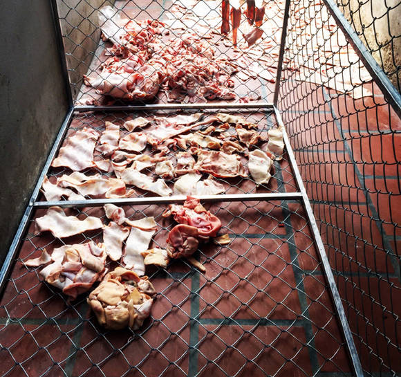 라이 지에우 하(Lai Dieu Ha), '언더 더 스킨(Under the Skin)'. 세부 사진, 건조된 돼지껍데기, 영상 설치, 가변크기. 2017. (사진=주베트남 한국문화원)