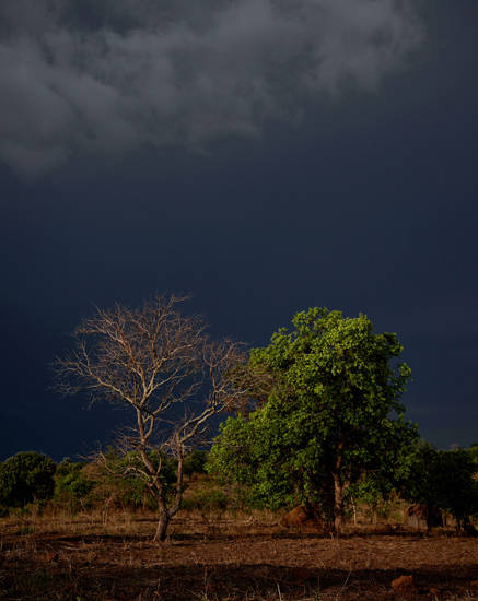 이광기, '동정의 시선에서 공감의 마음으로'. 115 x 143cm.