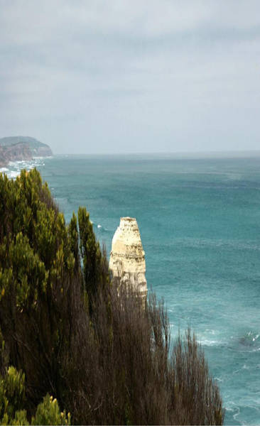 하시시박, ‘캐쥬얼 피스(Casual Pieces). 3’.(사진=롯데갤러리)